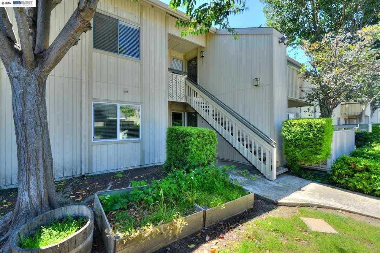 Property Photo:  4083 Abbey Ter  CA 94536 
