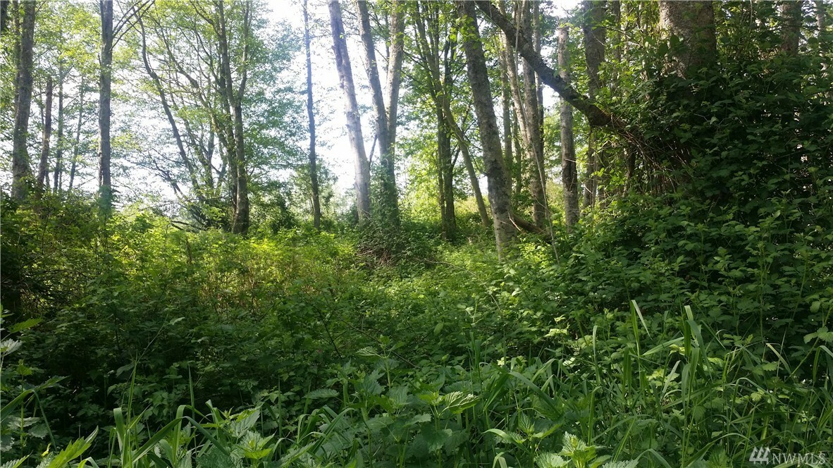 Property Photo: 7227 Everett Rd WA 98248