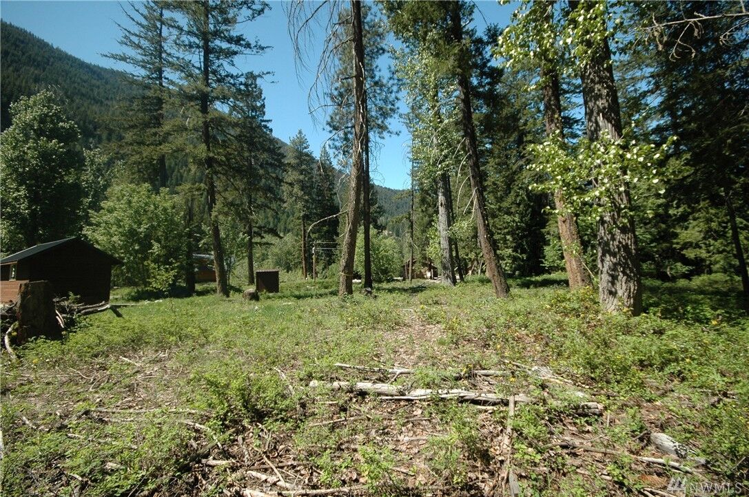 Property Photo:  12 Buck Cir  WA 98833 
