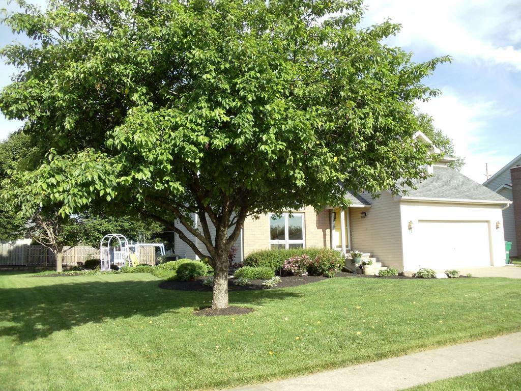 Property Photo:  1591 Independence Drive  OH 43055 