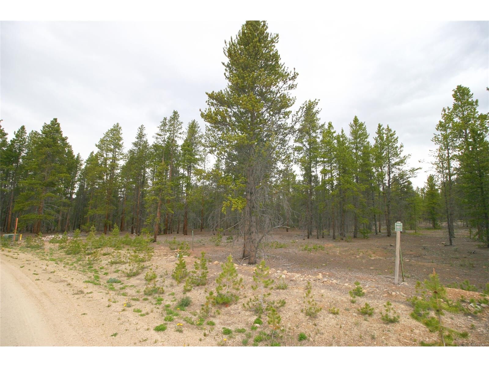 Property Photo:  265 Alpine Cirque  CO 80461 