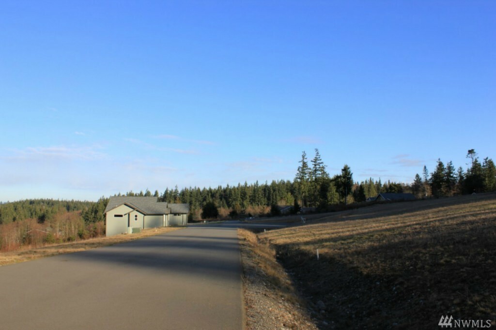 Property Photo:  161 Lot 6 Arborcrest Place  WA 98282 