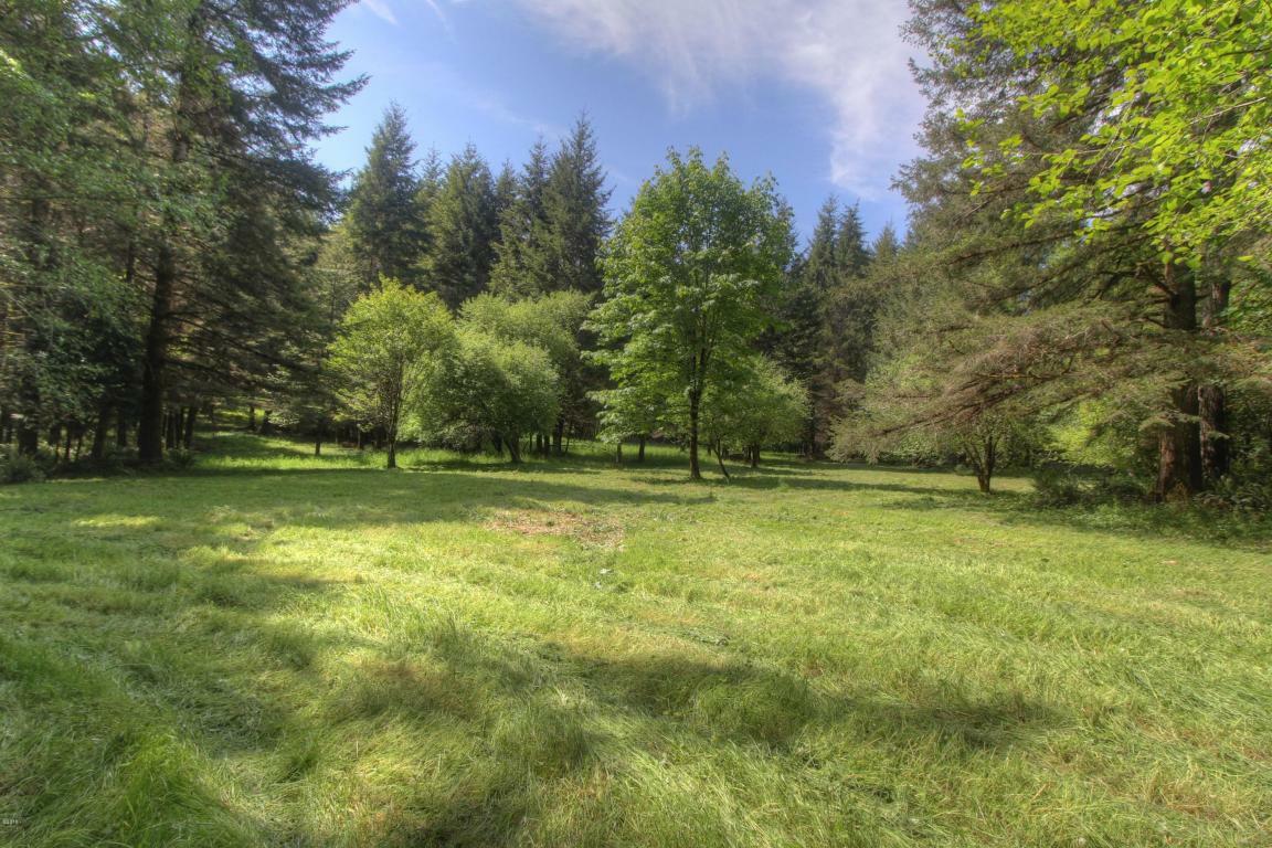 Property Photo: Lot 502 Bryant Creek Road OR 97343