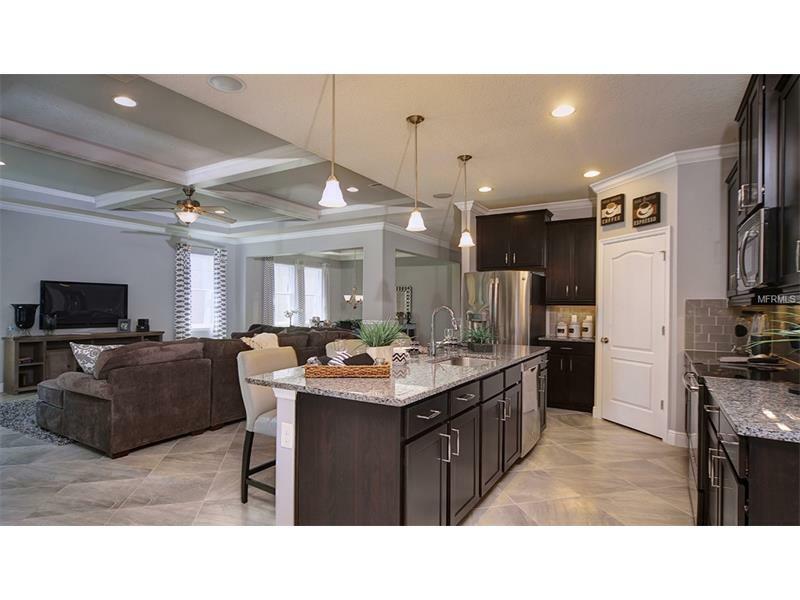 Property Photo: 15004 Trinity Fall Way FL 34212