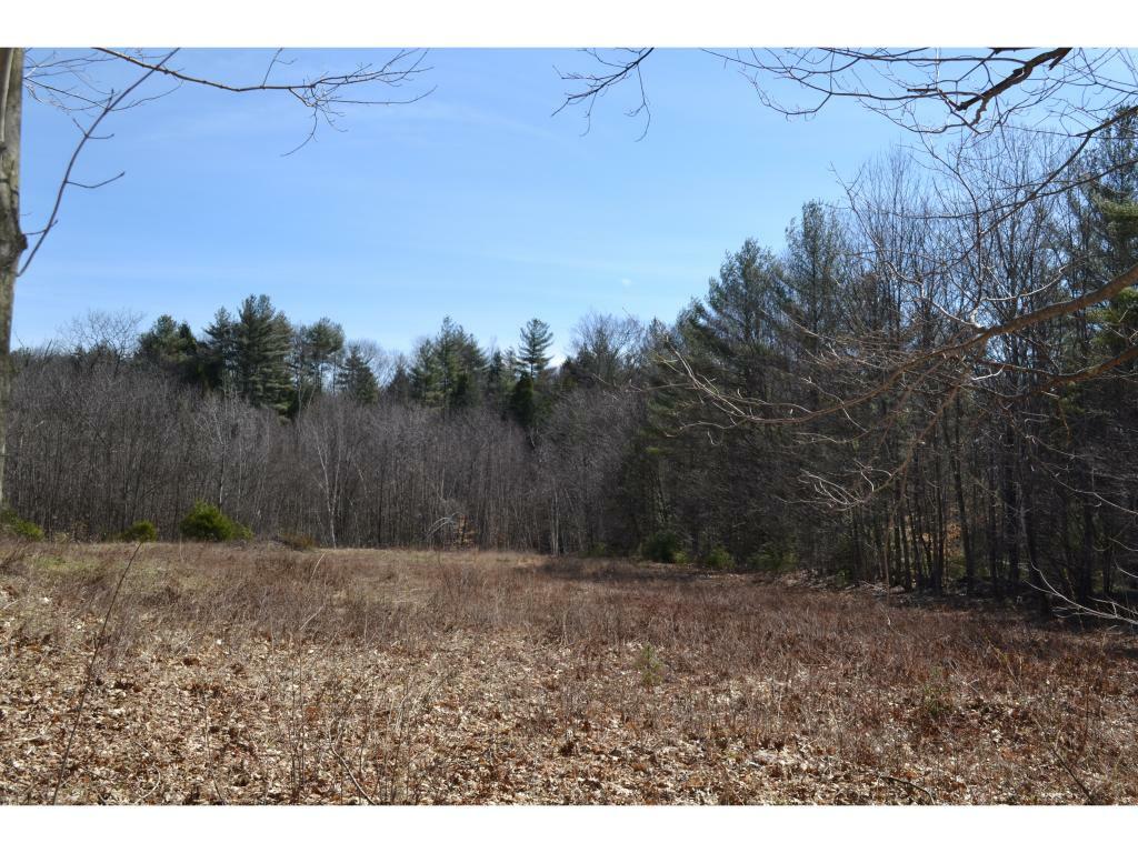 Property Photo:  South Road Lot 22.1  NH 03229 