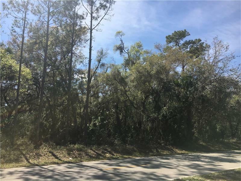 Property Photo:  Lake Harney Road  FL 32732 