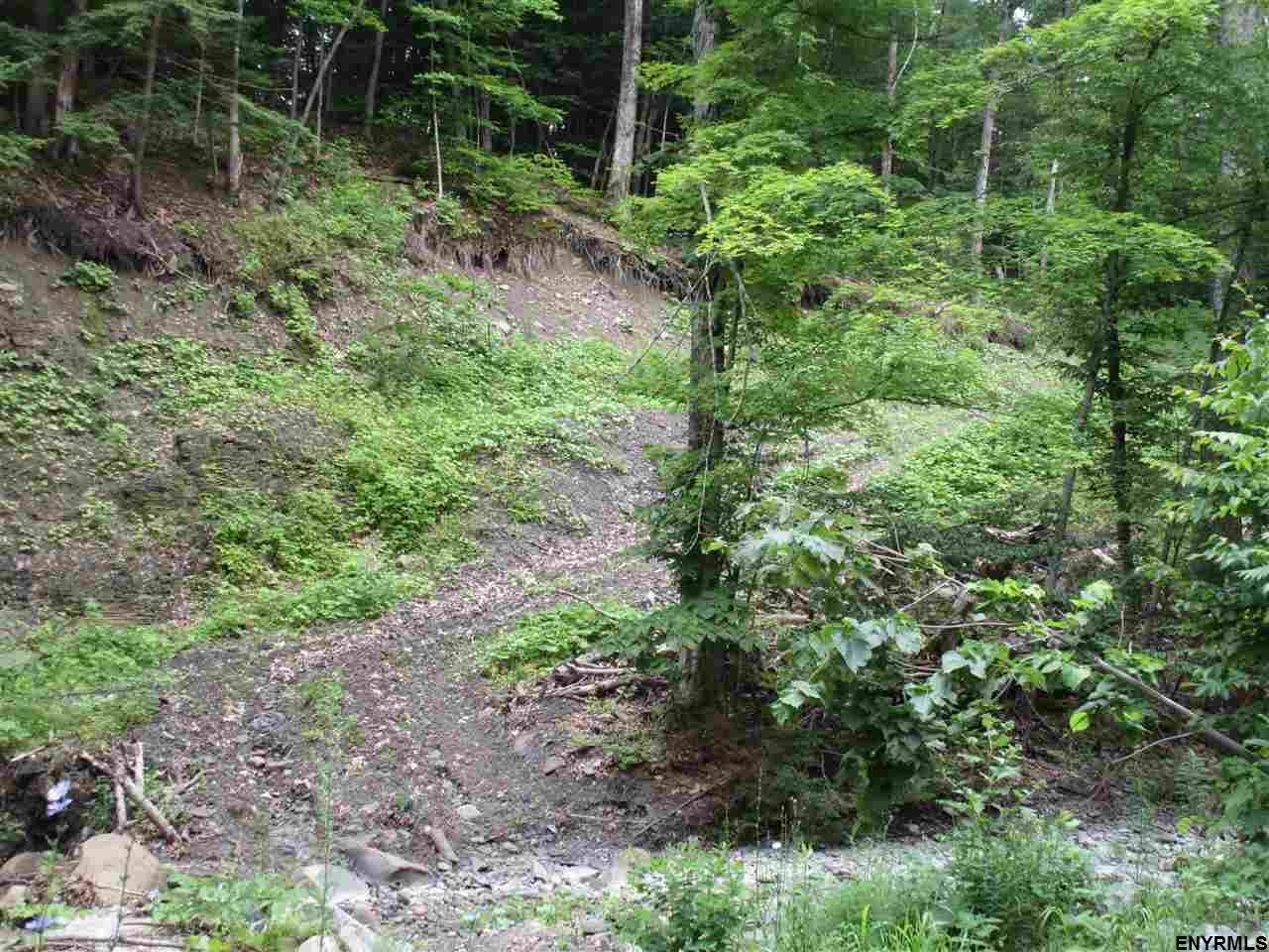 Property Photo:  277 Kelly Station Road  NY 12306 