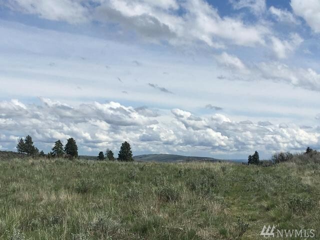 Property Photo:  100 Sagebrush Rd  WA 98802 