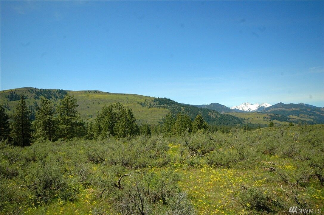 Property Photo:  27 Palomino Dr  WA 98862 