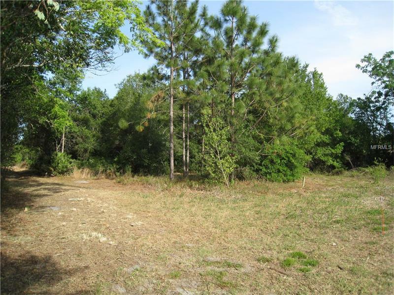 Property Photo:  3217 Lake Twylo Road  FL 32817 