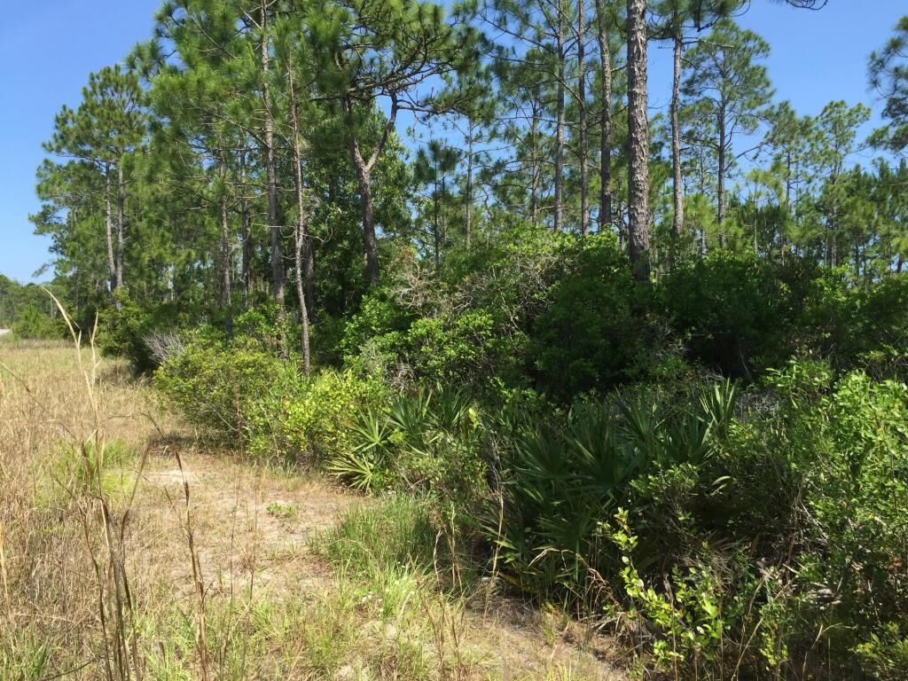 Property Photo: Lots 14-15 Heron'S Crossing FL 32459