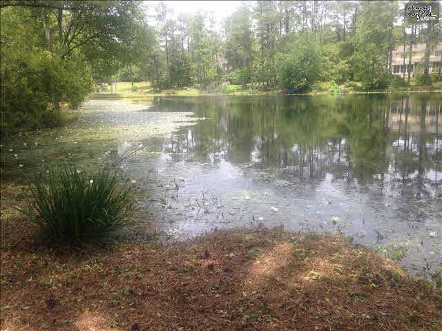 Property Photo:  260 Hope  SC 29223 