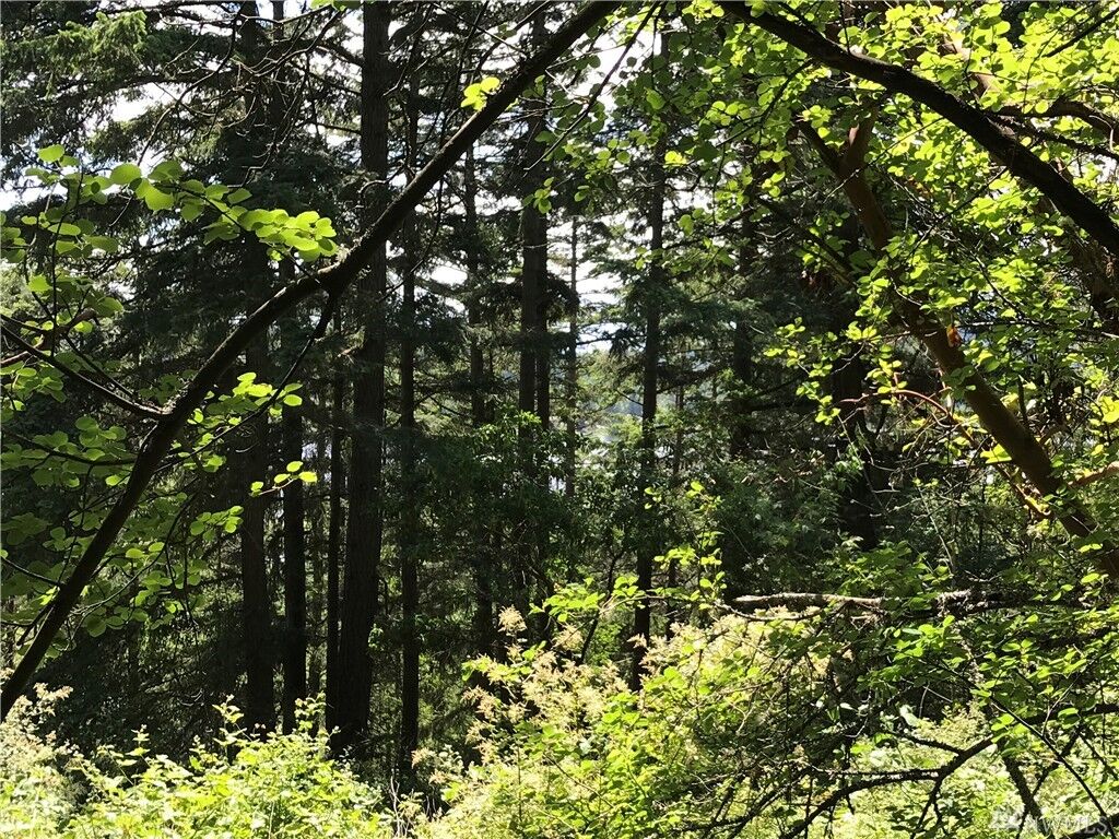 Property Photo: 0 Campbell Lake Rd WA 98221