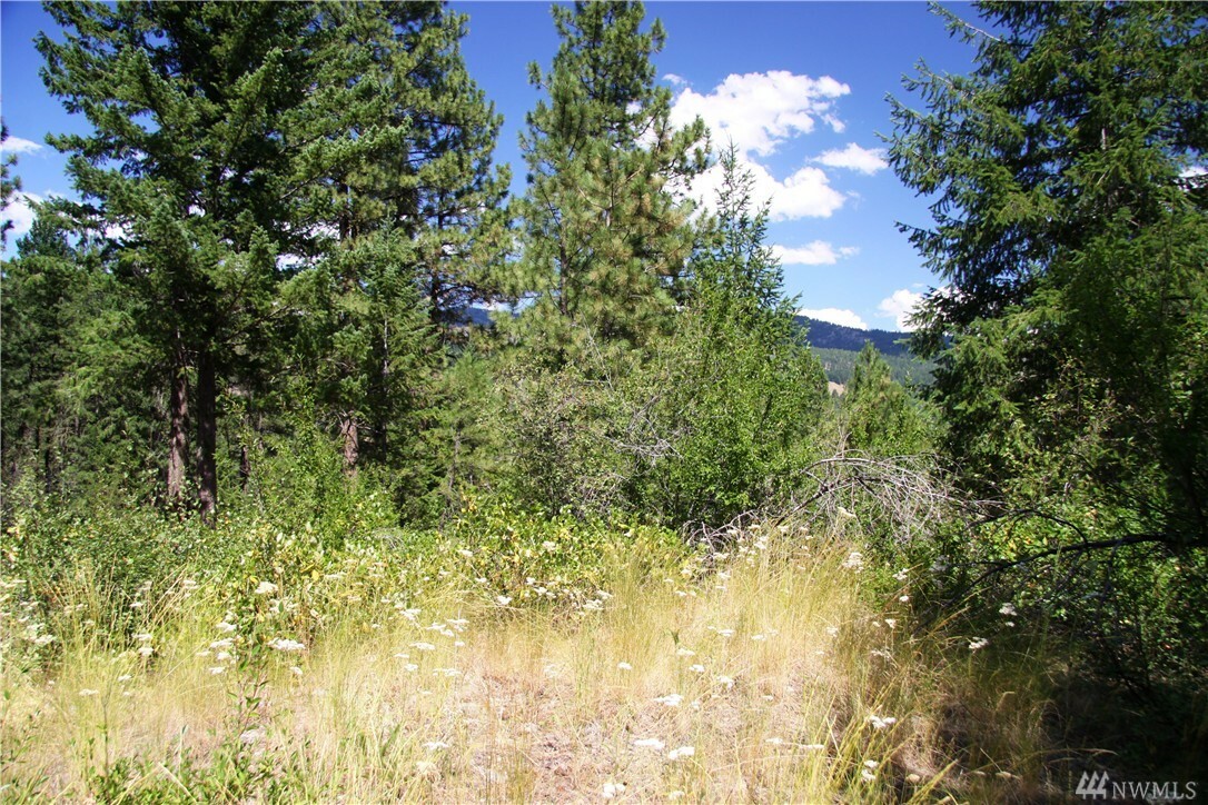 Property Photo:  23 Evergreen Wy  WA 98833 