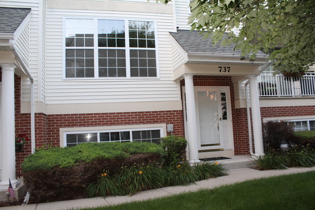 Property Photo: 737 Pheasant Trail 737 IL 60174