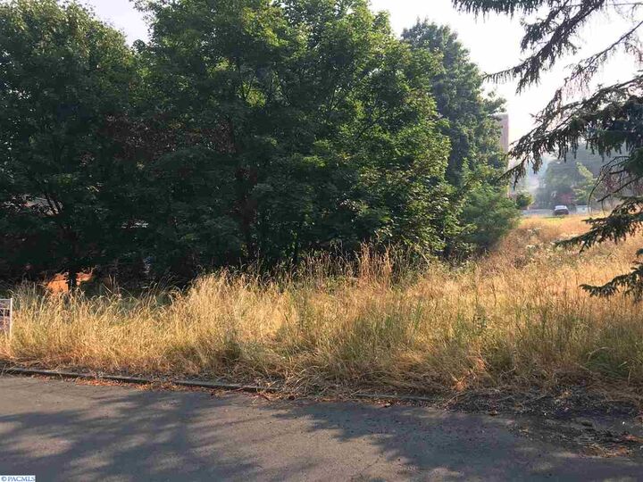 1015/1017 S Main  Colfax WA 99111 photo