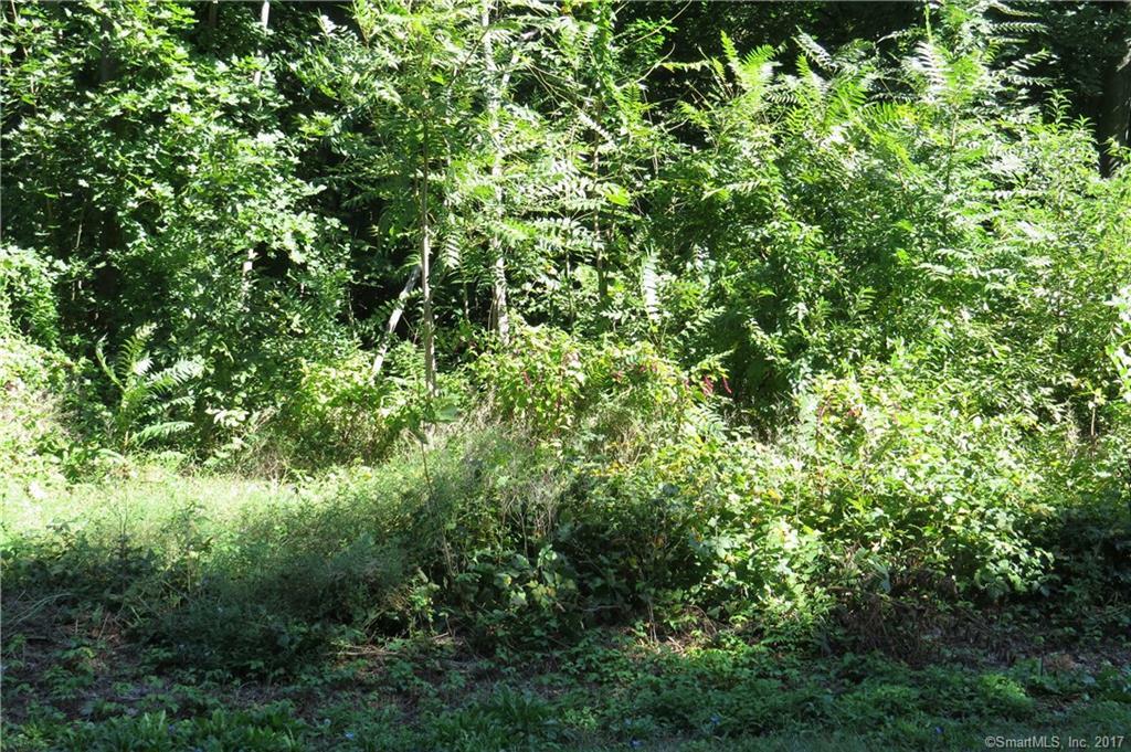 Property Photo: 176 Griswoldville Avenue CT 06111