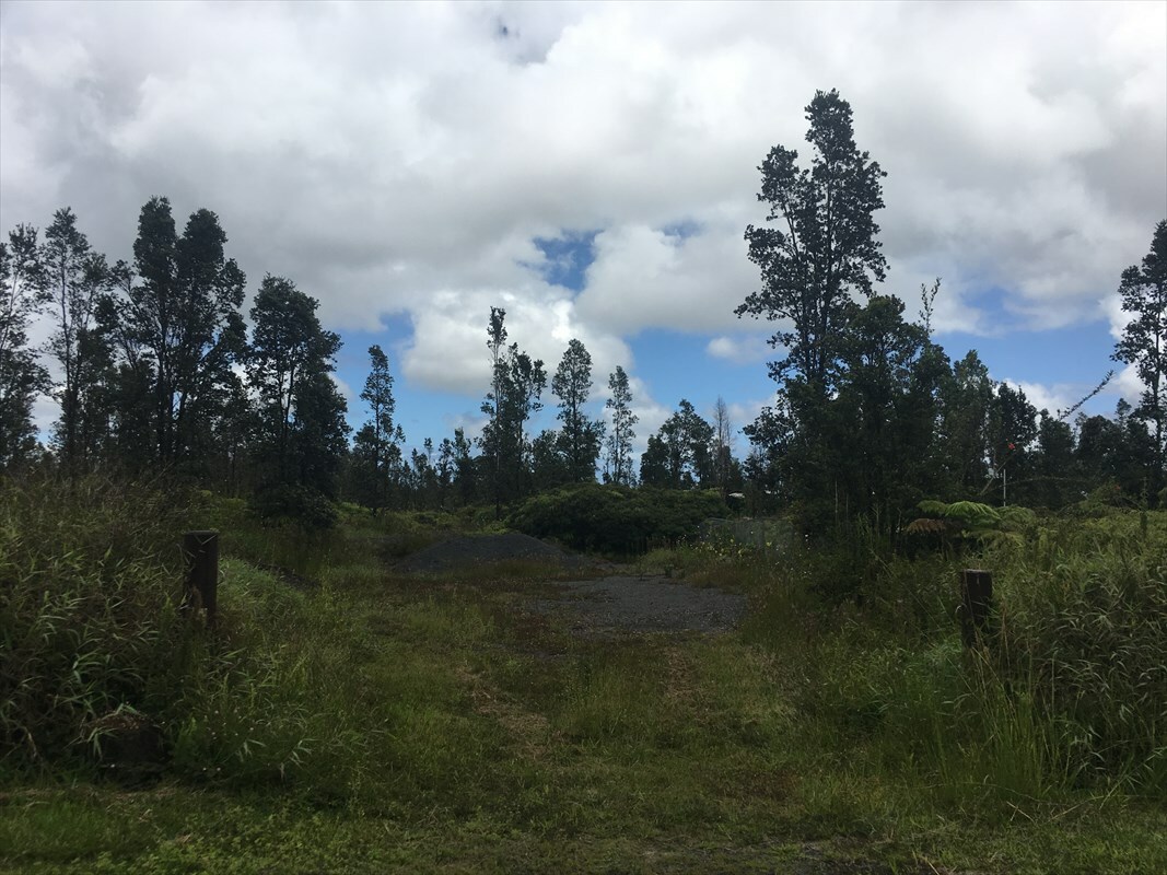 Plumeria  Mountain View HI 96771 photo