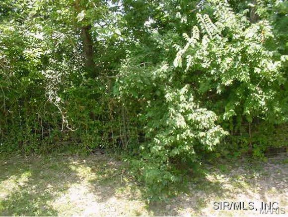 Property Photo:  302 N State Street  IL 62086 