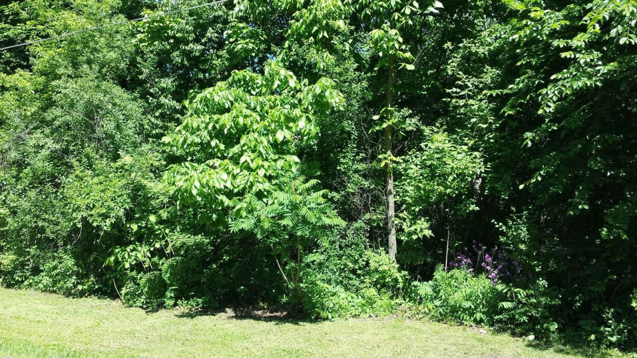 Property Photo:  Lt11 405th Ave  WI 53128 