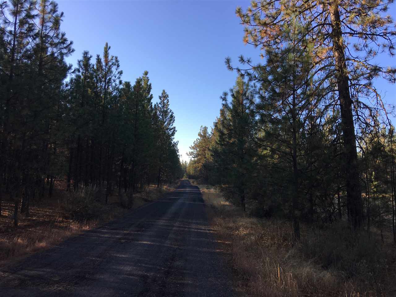 Property Photo: 6234 Hwy 291 Parcel B Hwy WA 99006