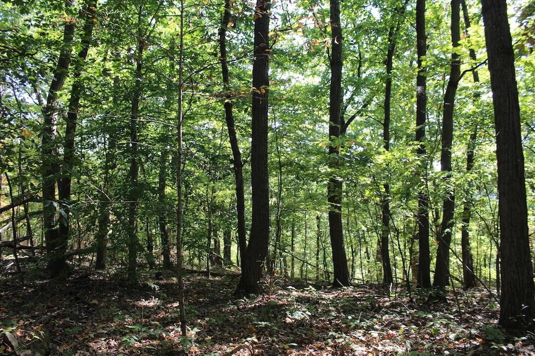 Property Photo:  0 Beck SE Road  OH 43130 