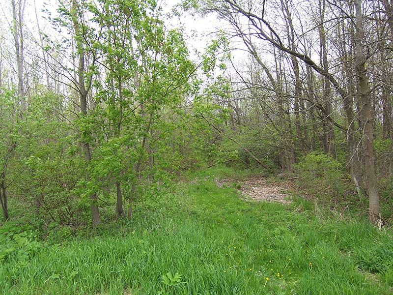 Property Photo:  0 Holy Hill Rd  WI 53022-0000 