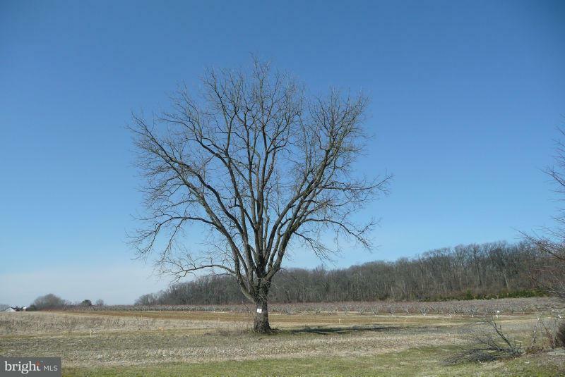 Property Photo: 425 Delp Road 18 PA 17601