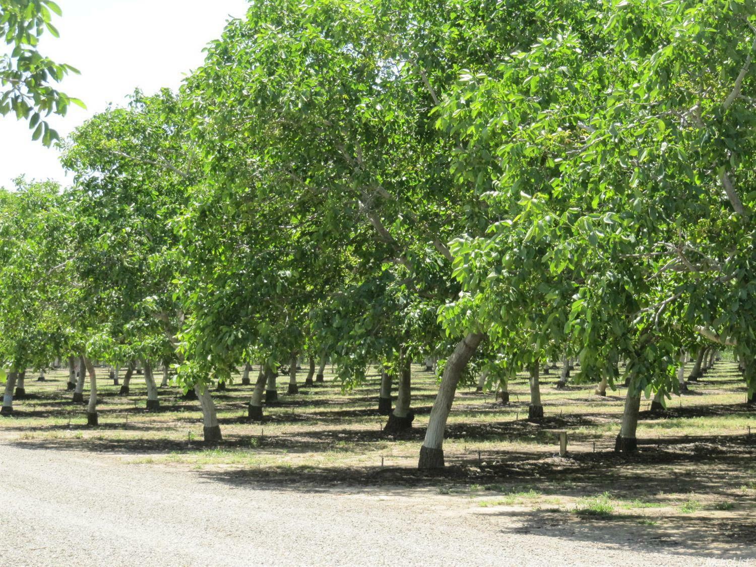 Property Photo: 0 County Road 23 CA 95697
