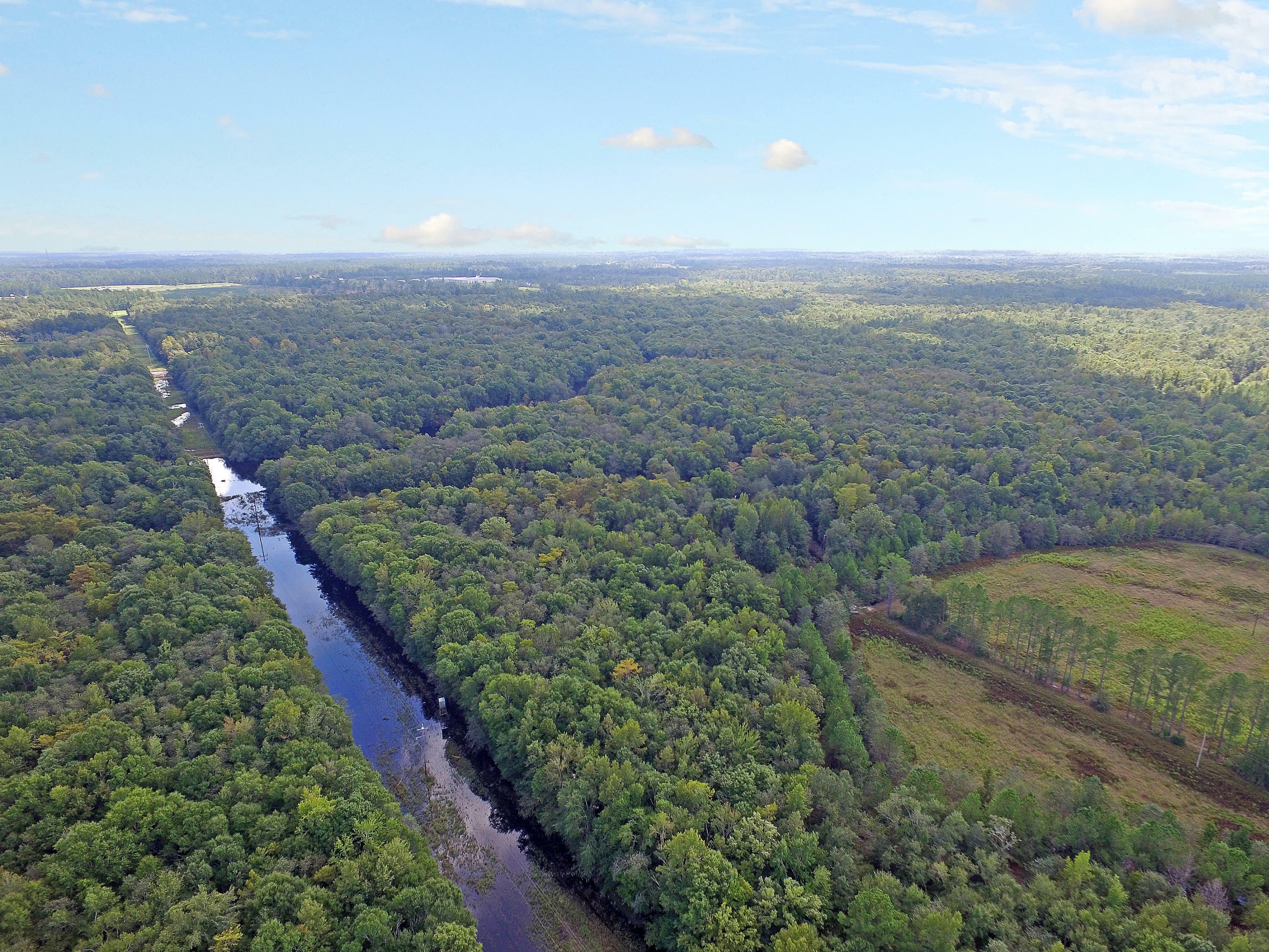 Property Photo:  505 Dutch Neck Road  SC 29556 