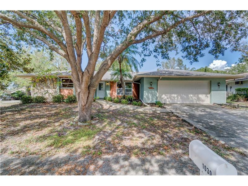 Property Photo: 1030 Persimmon Drive FL 34683