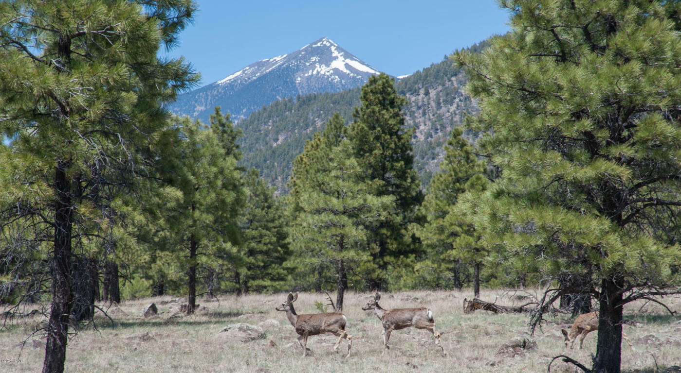 Property Photo:  15M Lockett Ranches  AZ 86001 