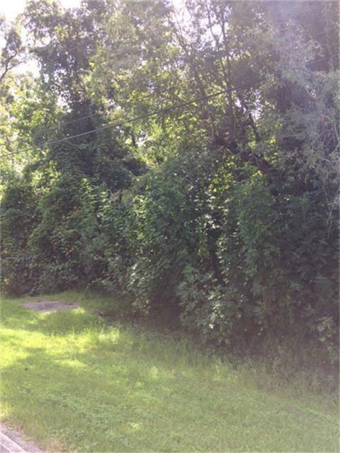 Property Photo: 0 Water Oak Dr Drive TX 77530