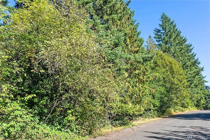 2 Xxx SW 164th St  Vashon WA 98070 photo