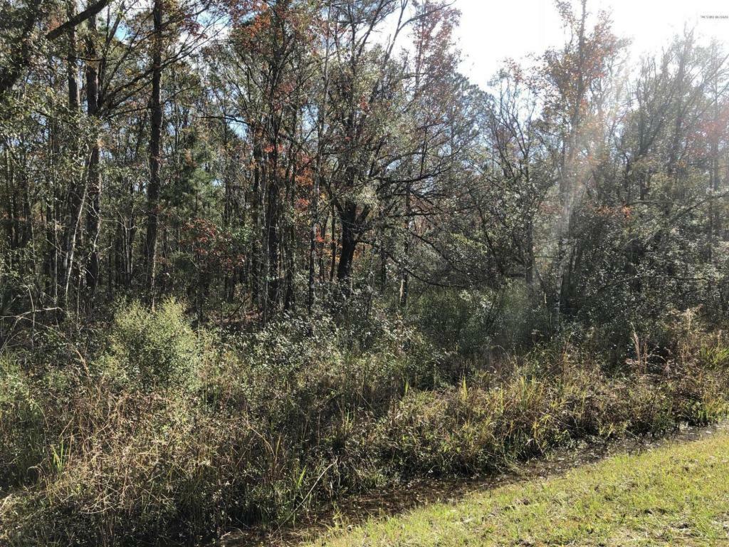 Property Photo:  10320 Stycket Avenue  FL 32145 