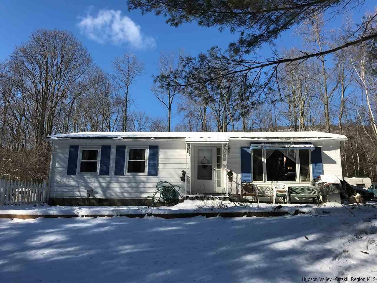 Property Photo: 253 Bostock NY 12481