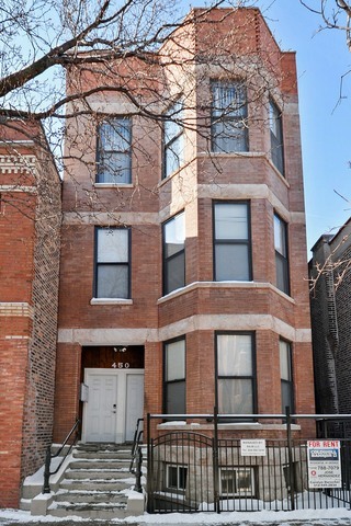 Property Photo:  450 N May Street 3R  IL 60642 