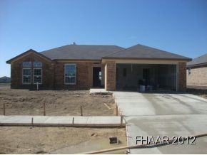 Property Photo:  308 E Little Dipper  TX 76542 