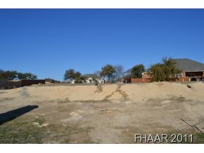 Property Photo: 4010 Lazy Brook Drive TX 76559
