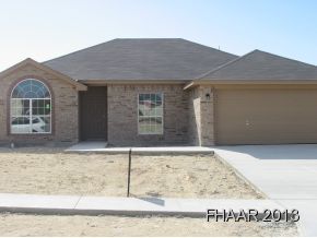 Property Photo:  2704 Tara Drive  TX 76549 