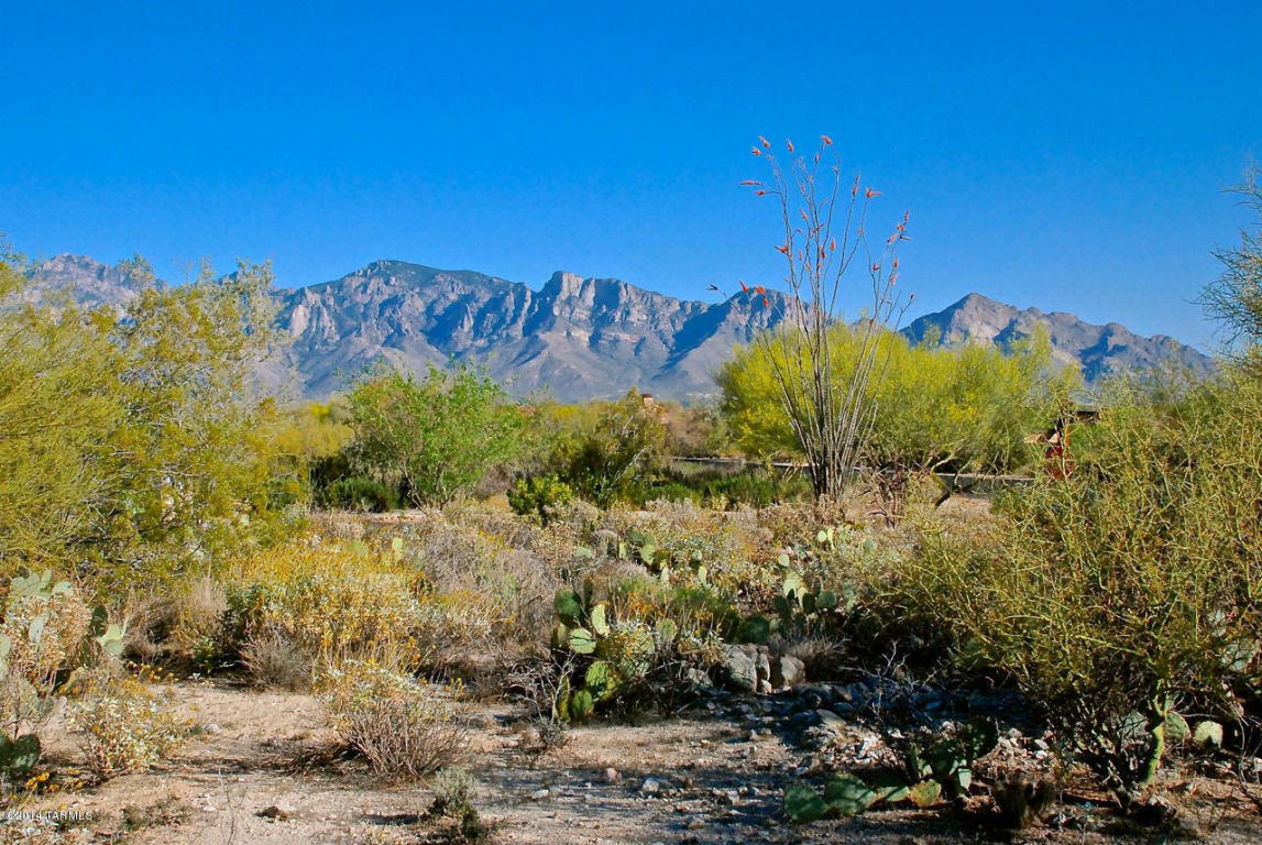 Property Photo:  14161 Giant Saguaro Place 22  AZ 85755 