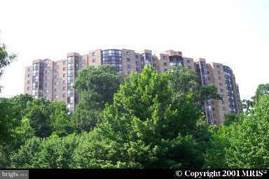 Property Photo:  5902 Mount Eagle Drive 310  VA 22303 