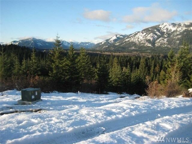 Property Photo:  31  Rocky Top Lane  WA 98922 