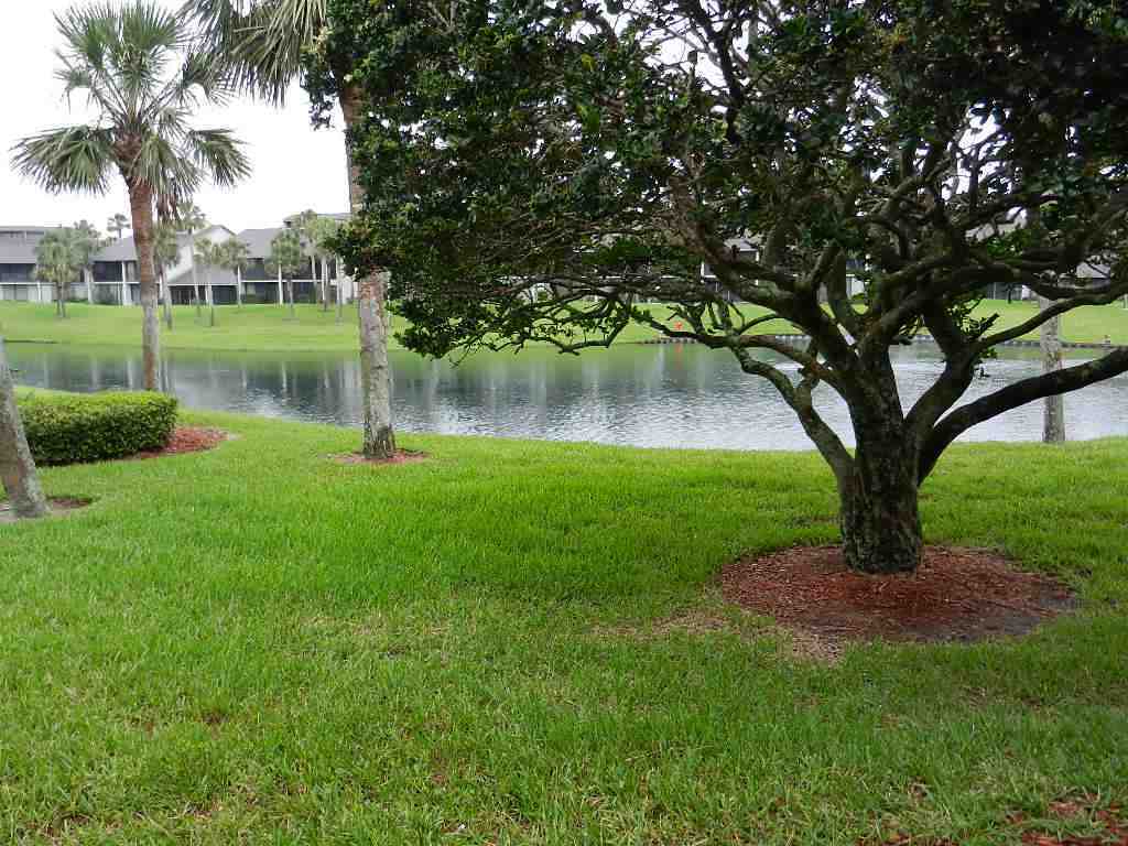 Property Photo:  23 Village Del Lago Circle  FL 32080 