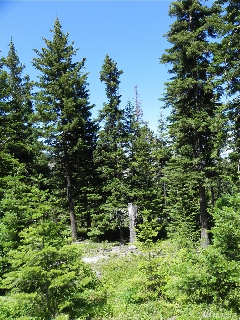 Property Photo: 6776 Forest Ridge Dr WA 98801
