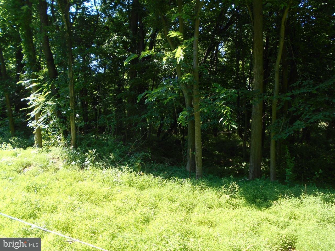 Property Photo:  Whitmer Road  WV 25442 