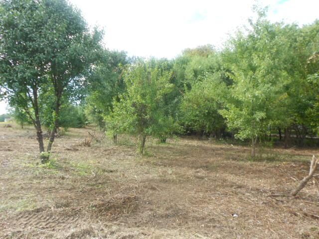 Property Photo:  0 Shoemaker Road  OH 43113 