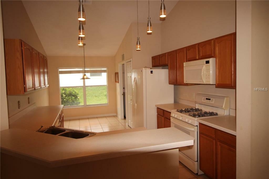 Property Photo:  1590 Silhouette Drive  FL 34711 