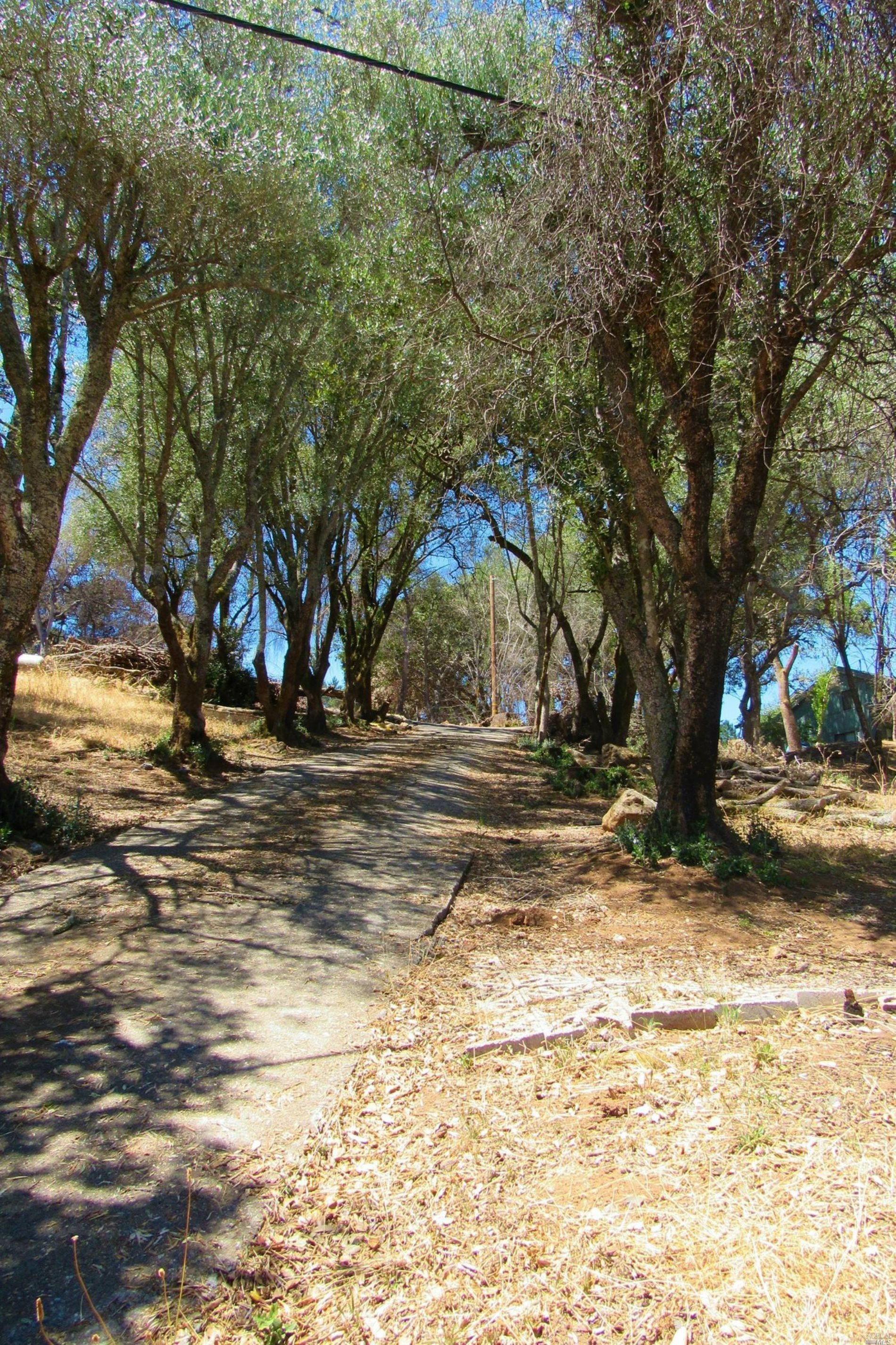 Property Photo:  2900 Rollo Road  CA 95404 