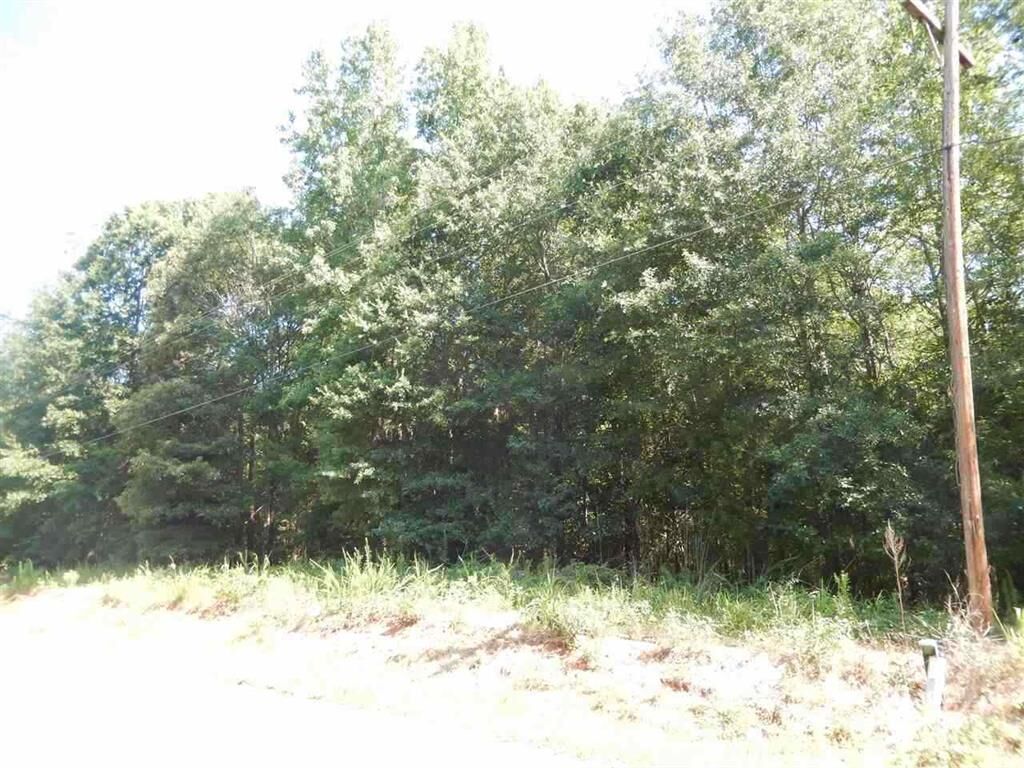 Property Photo:  Tract B Rice Cemetary Road  SC 29621 